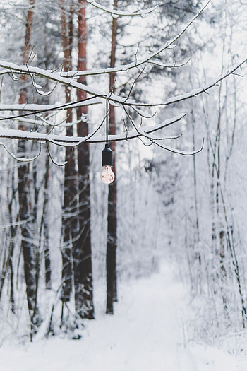 Winter, Snow, Miscellanea, Miscellaneous, Forest, Branch, Light Bulb HD phone wallpaper