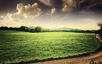 Farm HD wallpaper
