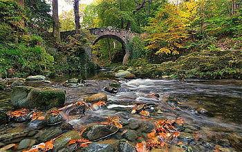 Ireland river, bridge, river, leaves, ireland HD wallpaper