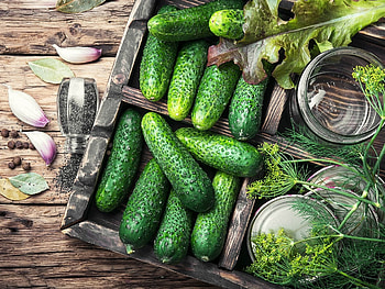 Crunchy cucumbers, Healthy snack, Refreshing vegetable, Hydrating food HD wallpaper