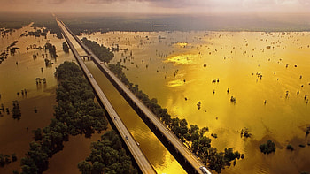 Atchafalaya Basin, Louisiana, Brian Sytnyk HD wallpaper