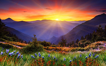 | Background ID:392202 HD wallpaper
