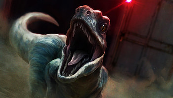 Velociraptor, Raptor , backgrounds, Dinosaur predators HD wallpaper