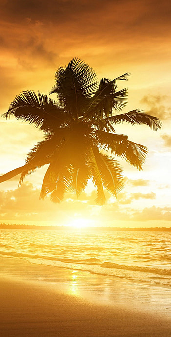 Nature's beauty, Beach sunset, Mesmerizing colors, Serenity by the shore HD phone wallpaper