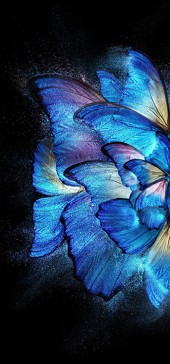 Vivo X Fold, feather, art HD phone wallpaper