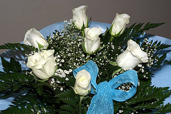 White rose bouquet.jpg, blue, rose, white, bouquet, flowers HD wallpaper