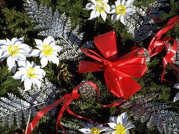 Holidays, New Year, Christmas, Xmas HD wallpaper
