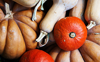 Pumpkins, abstract, graphy, pumpkin, orange HD wallpaper