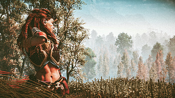Dont Be Shy Horizon Hero Dawn , horizon-zero-dawn, games, pc-games, xbox-games, ps-games, 2019-games HD wallpaper