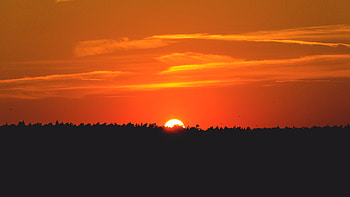 Sunset, Sun, Dark, Silhouette, Forest HD wallpaper