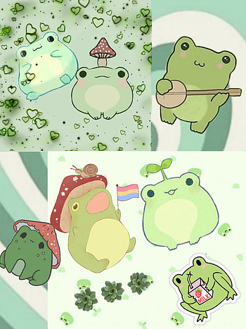 Frog, Froggy HD phone wallpaper