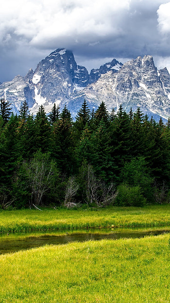 Grand Teton National Park, Green meadow, Wyoming landscape, Water stream HD phone wallpaper