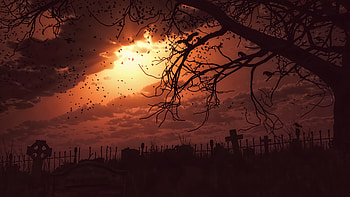 Birds Flying Dawn Time Fantasy Artwork, flying, birds, fantasy, artwork, dawn, evening, artist, digital-art HD wallpaper