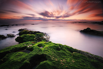 Green, stone, beautiful, nature, ocean HD wallpaper