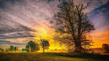 Spring Sunset, clouds, trees, landscape, sky, colors HD wallpaper
