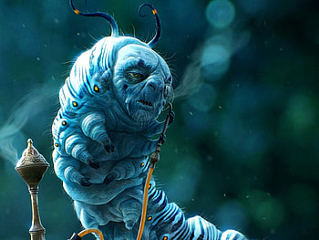 Blue Caterpillar, Alice in Wonderland, Characters, Fantasy HD wallpaper
