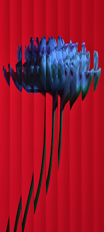 Nothing , red, magenta HD phone wallpaper