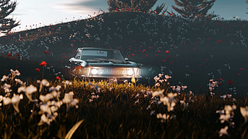 Classic car, off-road drive HD wallpaper
