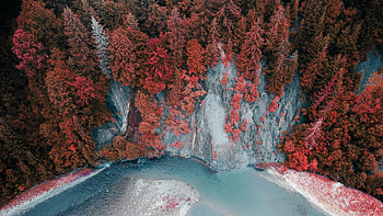 Aerial View Of Red Green Autumn Leaves Trees Forest Lake Nature Background Nature HD wallpaper