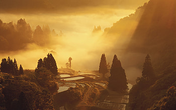 Land of Mist, romance, nature, canyon, beauty HD wallpaper