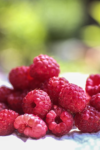 Raspberries, red fruits, close up HD phone wallpaper