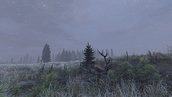 Dear, video game, DayZ HD wallpaper