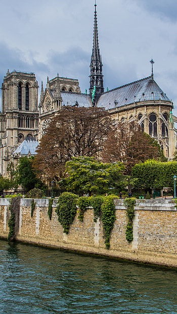 Notre-Dame Cathedral, Travels, Parisian beauty, Striking HD phone wallpaper