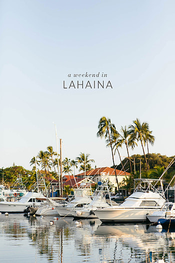 Weekend, Lahaina, Kaley Ann HD phone wallpaper