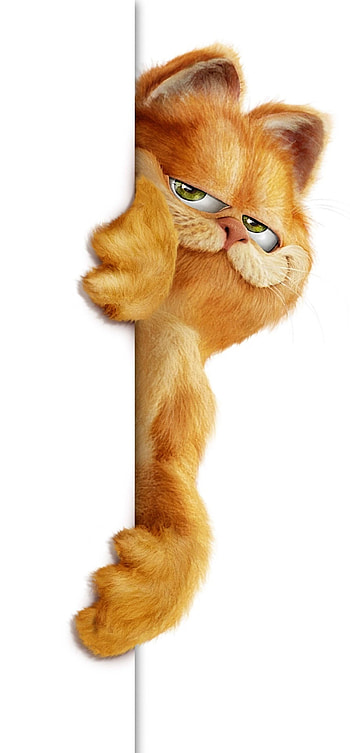 Garfield, , , 1583900 HD phone wallpaper