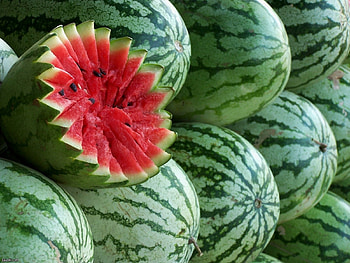 Plants, Fruits, Food, Watermelons HD wallpaper