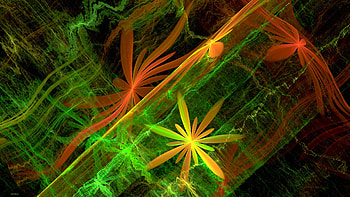 Daises in plasma, green-orange, plasma, , CG, daisies, black, background, digital, pretty, arty, flowers HD wallpaper