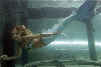 Mermaid Hannah Fraser, mermaid, graphy, hannah fraser, smile, underwater, beautiful HD wallpaper
