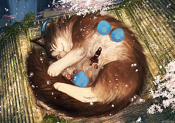 Sleeping cat, blue, animal, chicken, arizuka, girl, cat, spring, pisica, view from the top, anime, luminos, manga HD wallpaper