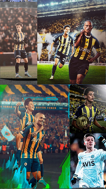 Fenerbahçe, -_alex, -_ardaguler, -_fenerbahce HD phone wallpaper