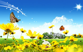Flowers to the midday, clouds, flowers, butterfly HD wallpaper