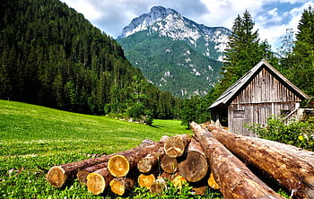 A scenic view of a wooden cabin against lush mountains and forest. HD wallpaper