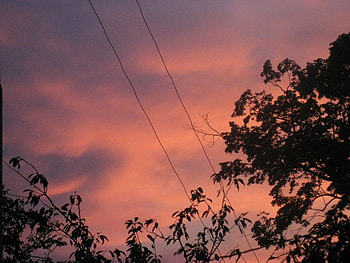Bulgaria country sky, pink, bulgaria, trees, sky, , sunset HD wallpaper