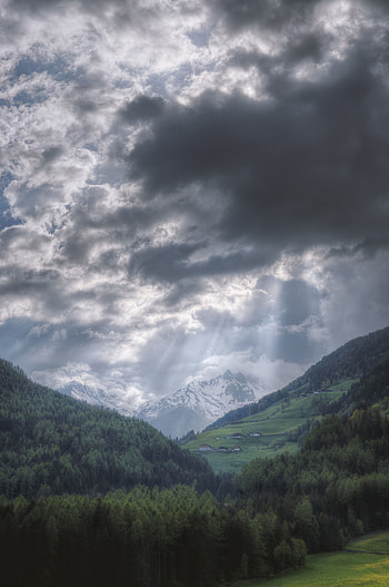 Nature, Trees, Mountains, Clouds, Fog HD phone wallpaper