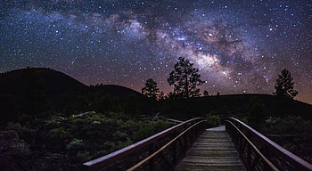 Nature, Trees, Sky, Stars, Night, Silhouettes, Milky Way HD wallpaper