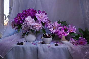 Still-Life, vase, Still, Life, Flower HD wallpaper