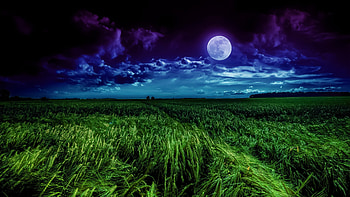 Grass field, moon, landscape, night, clouds HD wallpaper