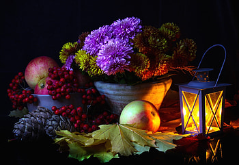 Still Life Flowers, still life, lantern, nature, flower HD wallpaper