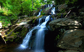 Amazing waterfall, graphy, remote, rocks, wild, beauty, creation, brown, rural, trees, greenery, waterfall, nature, , wilderness, water, forest HD wallpaper
