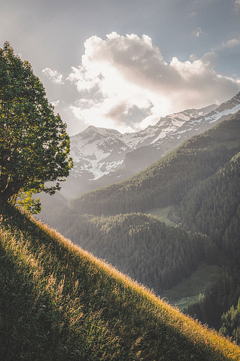 Landscape, Nature, Trees, Mountains, Vertex, Tops, Slopes HD phone wallpaper