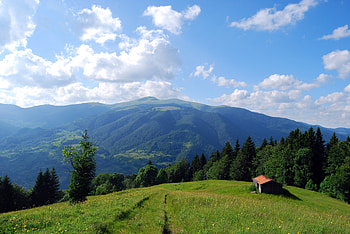 Beautiful View, sunshine, house, Beautiful, clouds, trees, nature, sky, mountains, forest HD wallpaper