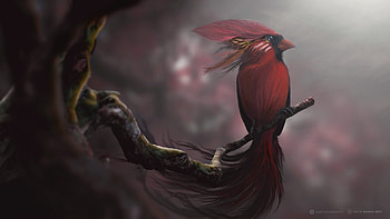 Red Bird Digital Art, bird, artist, digital-art HD wallpaper