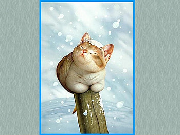 Nice kitten on trunk, kitten, cat, snow, trunk HD wallpaper