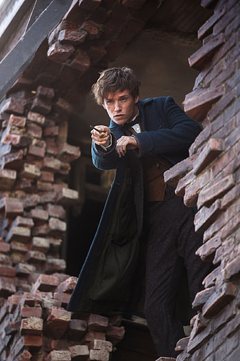 Newt Scamander, Broken Apartment HD phone wallpaper