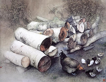 Mrs Hen And Her Chicks, feeding, birch, chicks, logs, protection, hen HD wallpaper