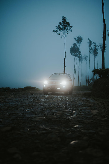 Twilight, Cars, Shine, Light, Fog, Car, Suv, Dusk HD phone wallpaper